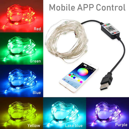 Smart RGB Christmas Fairy String Light APP Bluetooth Control